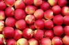 Fresh Apple / Gala Mus...