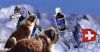Ama-Dog 500ml 100% All...