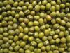 GREEN MUNG BEAN