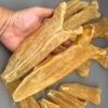 Dried Pangasius Fish Maw Tube Butterfly //HIGH QUALITY // Ms. Esther