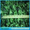 frozen broccoli