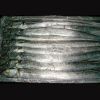 Frozen Fish & Frozen Sea food