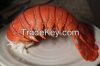 Lobster Tail