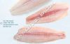 Sell Frozen Pangasius-...