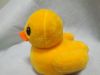 Manufacturers selling plush toys, stuffed toys ducks, gift plush