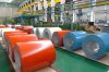 Prepainted steel coil   Galvanized steel coil  PPGI