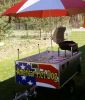 Catering Trailer Burger Van Hot Dog Snack Stall Cart Food Business Car Carrier