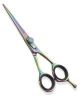 Professional Hair Styl...