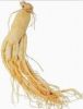 Ginseng Extract