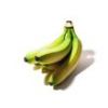 Conventional Bananas