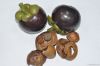 100%Natural mangosteen extract /Alpha-mangostin