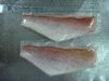 Crimson Snapper Fillet Skinon, BoneLess Co Treated