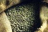 Export Green Coffee Be...