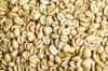 Export Arabica Coffee ...