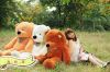 2014 most fasionable lovely christmas gift wholesale in stock big teddy bear