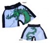 MMA Shorts