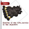 2014 100% human hair fashion hair weft 8"-30" can be custom color supply you need hair 