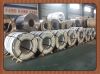 HR/CR/ Galvanized Steel Coil