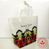 OEM logo free non woven woman handbag