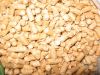  Sell wood pellets sof...