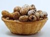 Fresh Quail Eggs