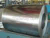 Hot Dipped Galvanised Steel Sheet in Coils