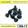 Tension control bolt/tor shear type bolt