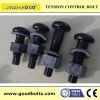 Tension control bolt/tor shear type bolt