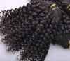 Kinky Curl Hair Extension 100% Human Hair, Remy Hair 