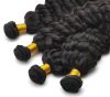 Hair Extension Water Wave 100% Human Hair