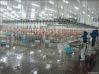 poultry slaughter equi...