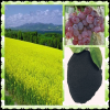 Humic Acid (powder),