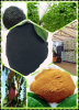 Humic Acid (powder),