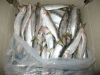 Fresh / Frozen Sardine...