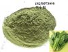 Pure Dehydrated Spinac...