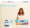 cute animail bluetooth speakers A-100 for iphone/ipod/iphone/smartphones