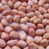 Peanut Kernel Round Type