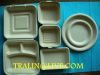 biodegradable disposable tableware 