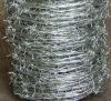 barbed wire mesh fence...