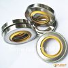 PTFE stainless steel oil seal