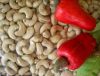 Cashew Nut