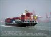 Ocean Freight Agent In...