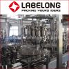 Factory Price Automatic Bottle Fresh Pulp Juice Beverage Filling/Bottling Machine