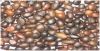 PALM KERNEL NUTS