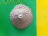 Calcium bentonite (100% natural, for animal feed, etc.CNPC supplier)