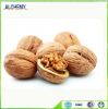 Walnut Kernel