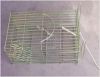rat cage trap