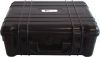 Raman spectrometer