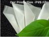 PVB film