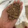 Animal feed suppliers &amp; Manufacturers Dcp, Fish Meal, Palm kernel, Mustard Seed, Cotton seed Cake, Maize, Corn, soybean